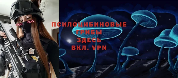spice Алзамай