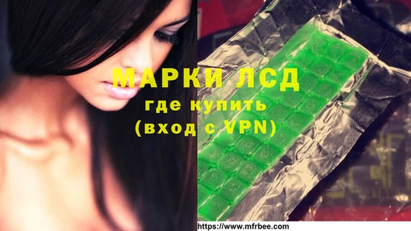 стаф Алексин