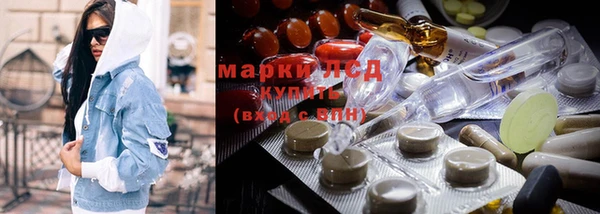 стаф Алексин