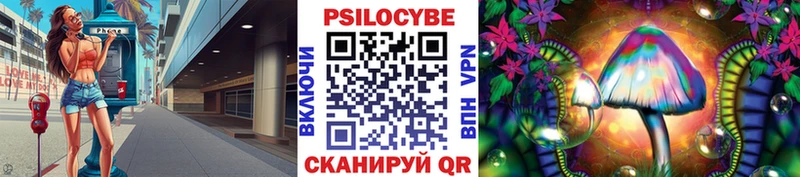 Псилоцибиновые грибы Psilocybe купить Сыктывкар